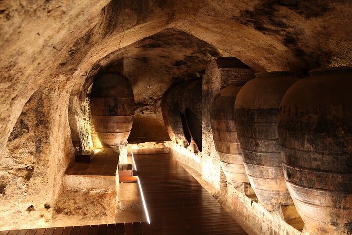 Valencia: Utiel-Requena Cave & Winery Day Trip with Tasting