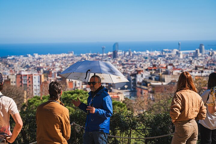 Park Guell Skip-the-Line Guided Tour in Barcelona