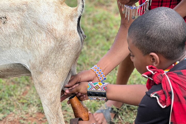 Nairobi Masai village Day Tour Experience