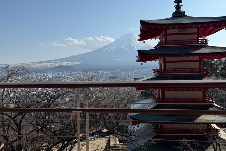 Private Tour to Mt. Fuji and Hakone (Fully Licensed Operator)