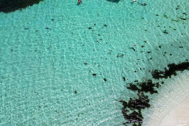 Full Day Private Boat Tour to the Lagoon of Guadeloupe