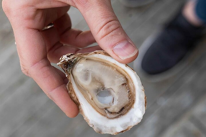 Charlottetown Food Walking Tour