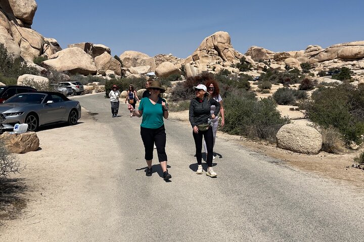 Private Sightseeing Adventure Tour of Joshua Tree National Park