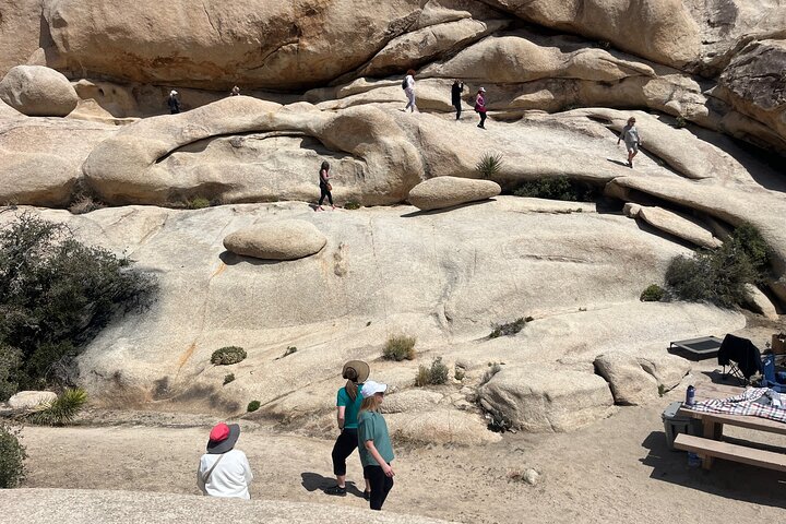 Private Sightseeing Adventure Tour of Joshua Tree National Park