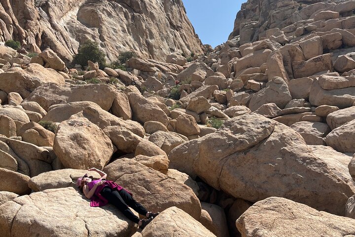 Private Sightseeing Adventure Tour of Joshua Tree National Park