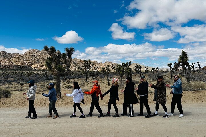 Private Sightseeing Adventure Tour of Joshua Tree National Park