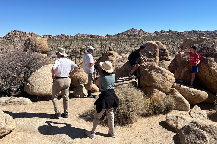 Private Sightseeing Adventure Tour of Joshua Tree National Park