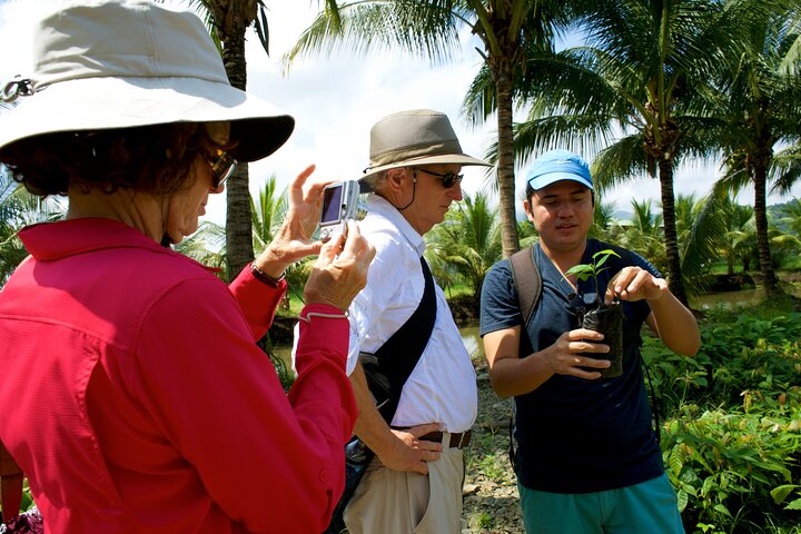 Cocoa farm and Chocolate making!