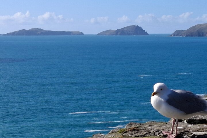 Dingle and Slea Head Private Scenic Tour