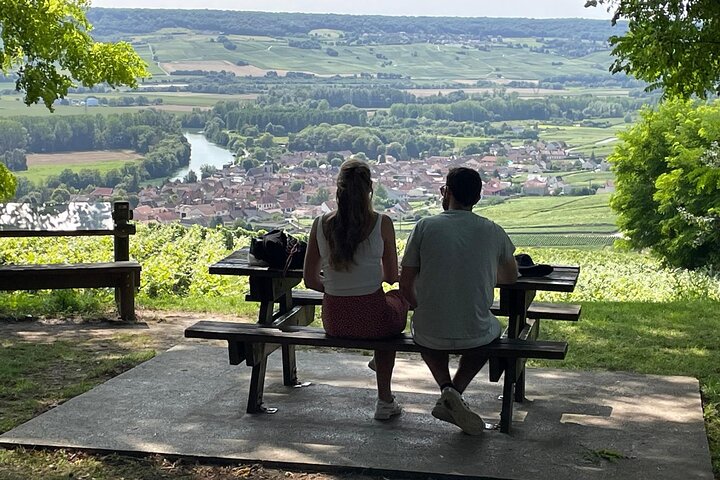 One Day Tour in Champagne with Lunch and Tasting