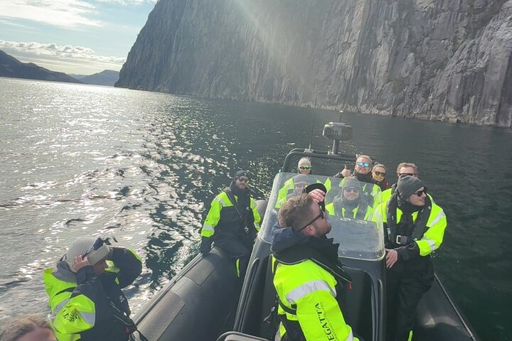 Fjord Tour with hidden cave, Preikestolen, Waterfalls and Goats
