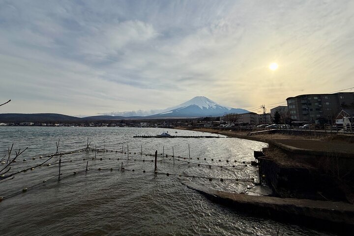 Tokyo: Customized Mt. Fuji & Hakone Sightseeing Private Day Trip