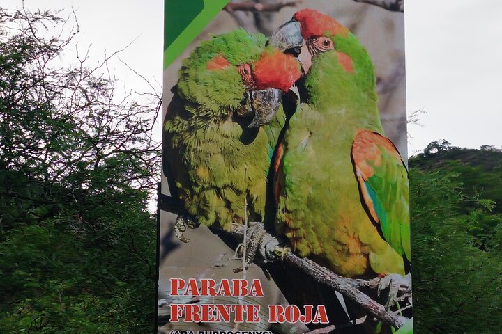 Sucre Hike, Explore and Discover Monte Villca Protected Park