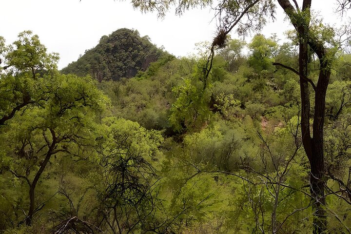 Sucre Hike, Explore and Discover Monte Villca Protected Park