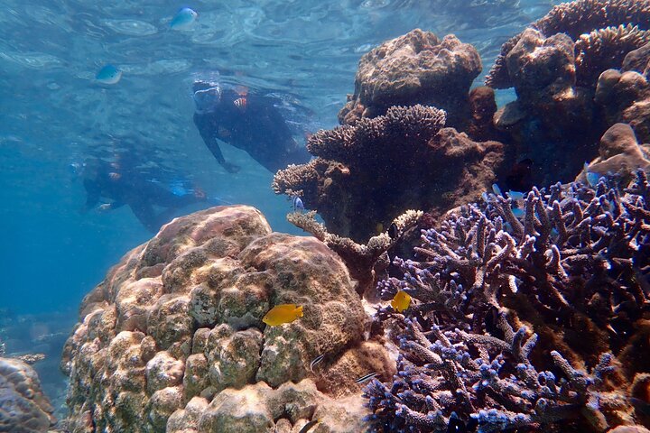 Lagoon Explorer - Ningaloo Reef Full-Day Kayaking and Snorkeling Adventure