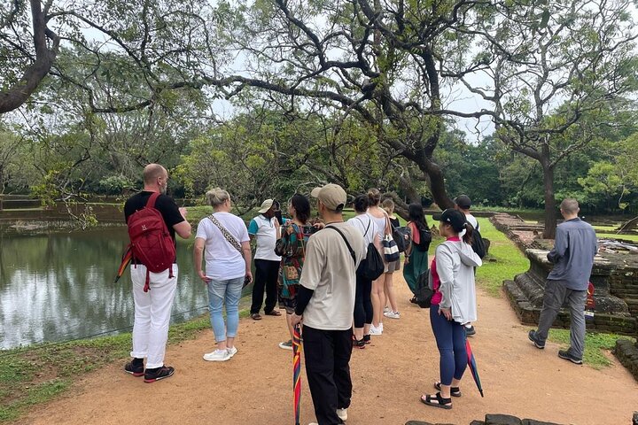 From Colombo: Sigiriya and Dambulla Day Trip and Safari