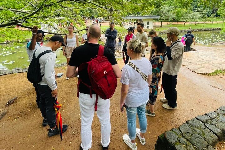 From Colombo: Sigiriya and Dambulla Day Trip and Safari