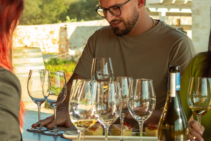 Winery Tour and Tasting, Discover the Organic Wines of Ostuni