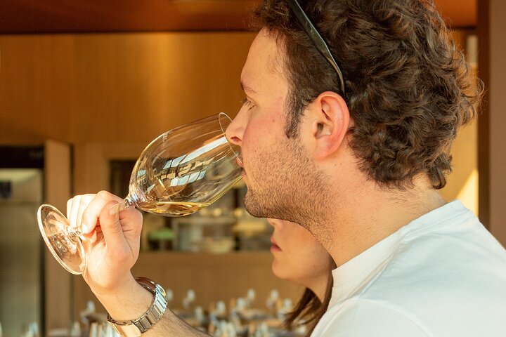 Winery Tour and Tasting, Discover the Organic Wines of Ostuni
