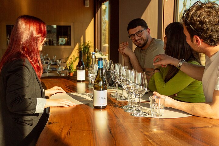 Winery Tour and Tasting, Discover the Organic Wines of Ostuni