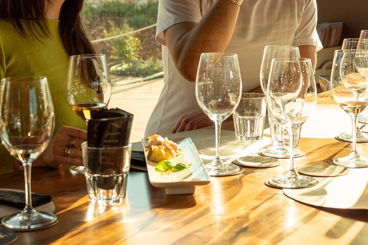 Winery Tour and Tasting, Discover the Organic Wines of Ostuni