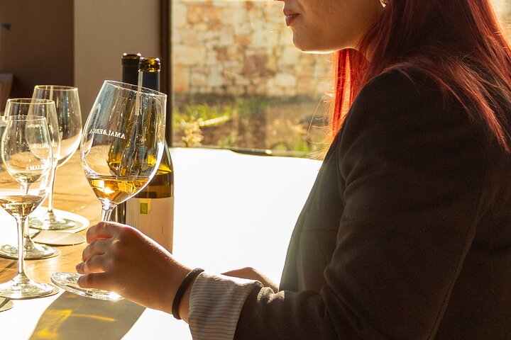 Winery Tour and Tasting, Discover the Organic Wines of Ostuni