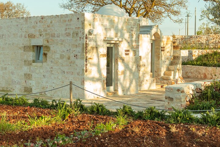 Winery Tour and Tasting, Discover the Organic Wines of Ostuni
