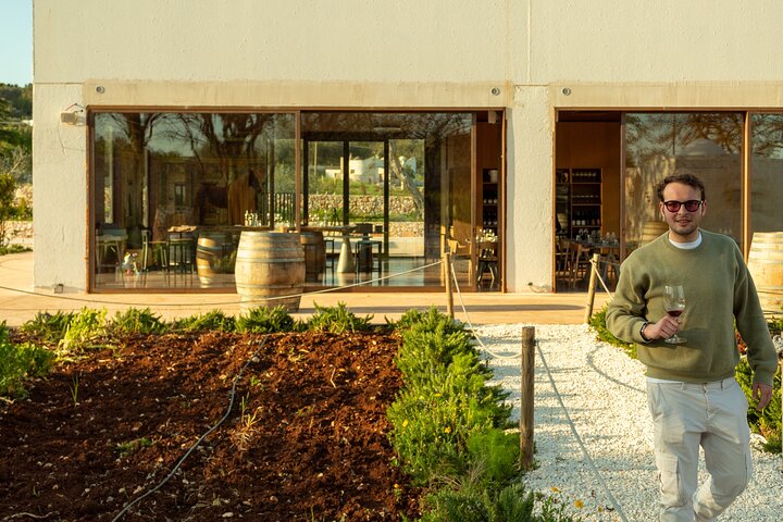 Winery Tour and Tasting, Discover the Organic Wines of Ostuni