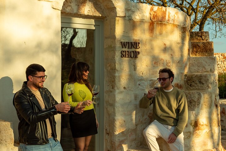 Winery Tour and Tasting, Discover the Organic Wines of Ostuni