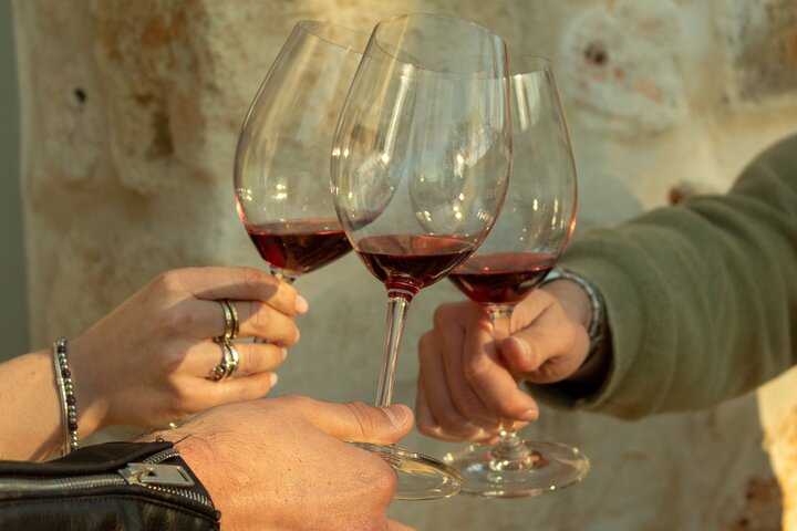 Winery Tour and Tasting, Discover the Organic Wines of Ostuni