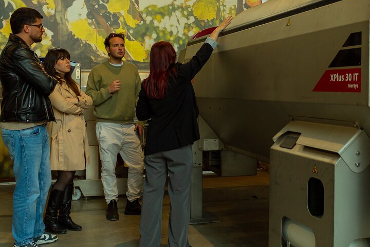 Winery Tour and Tasting, Discover the Organic Wines of Ostuni