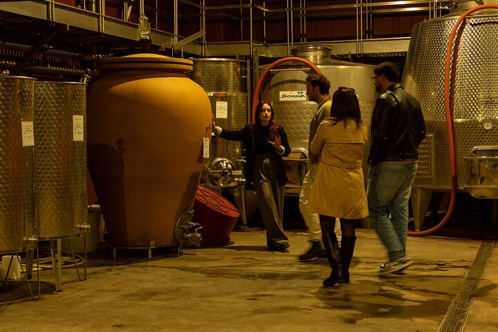 Winery Tour and Tasting, Discover the Organic Wines of Ostuni