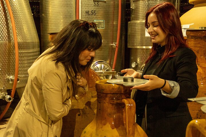 Winery Tour and Tasting, Discover the Organic Wines of Ostuni