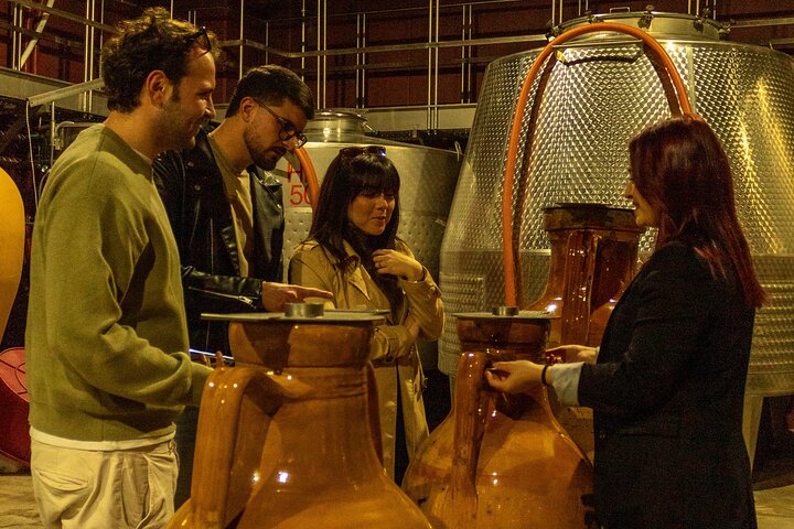 Winery Tour and Tasting, Discover the Organic Wines of Ostuni
