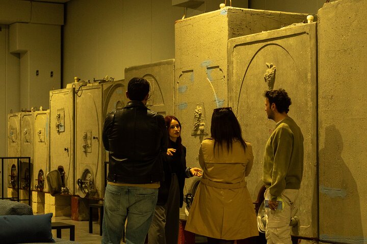 Winery Tour and Tasting, Discover the Organic Wines of Ostuni