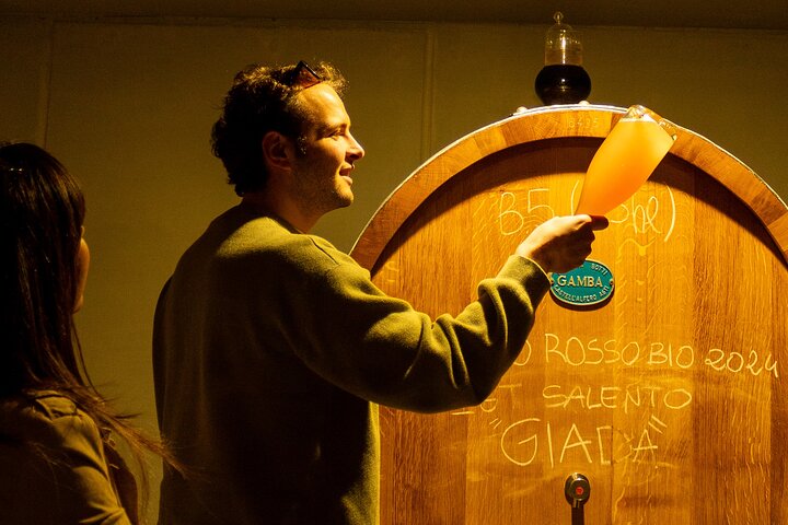 Winery Tour and Tasting, Discover the Organic Wines of Ostuni