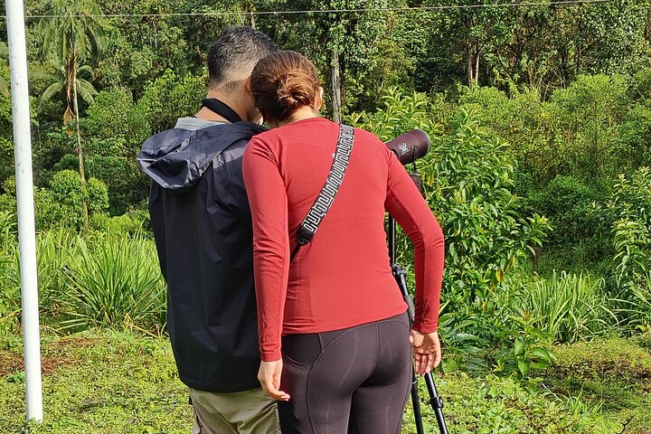 Epic Birdwatching Experience in Mindo Cloud Forest