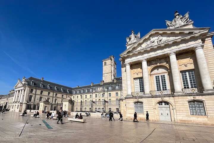 Best Intro to Dijon in 2 hours with a Local