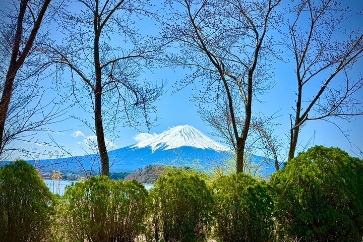 Tokyo: Customized Mt. Fuji & Hakone Sightseeing Private Day Trip