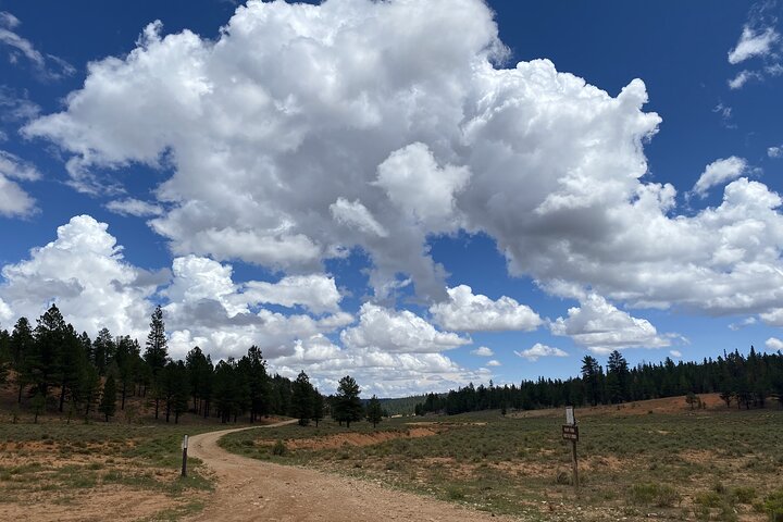 4-Hour, 5-seat ATV Rental next to Bryce National Park