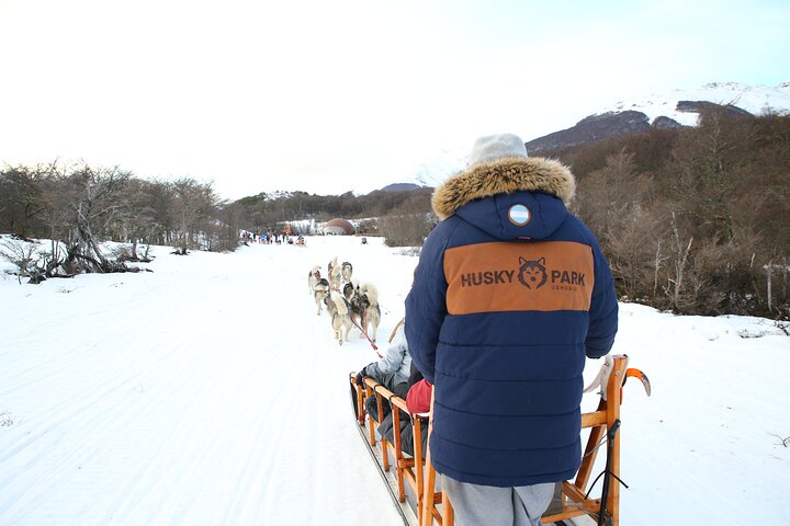 White Adventure with Sledge Ride and Snowmobile