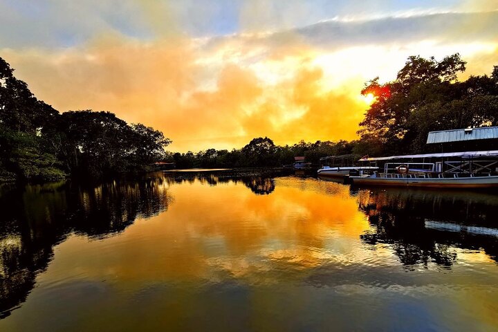Borneo (Klias) River Cruise & Fireflies Tour