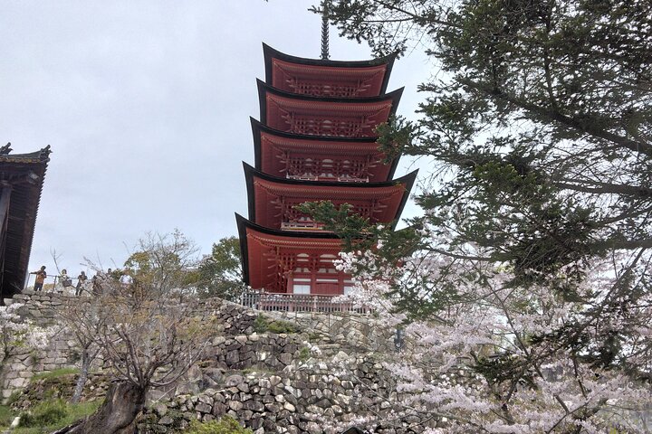 Hiroshima Cruise Pickup : Miyajima & Peace Park Tour with car