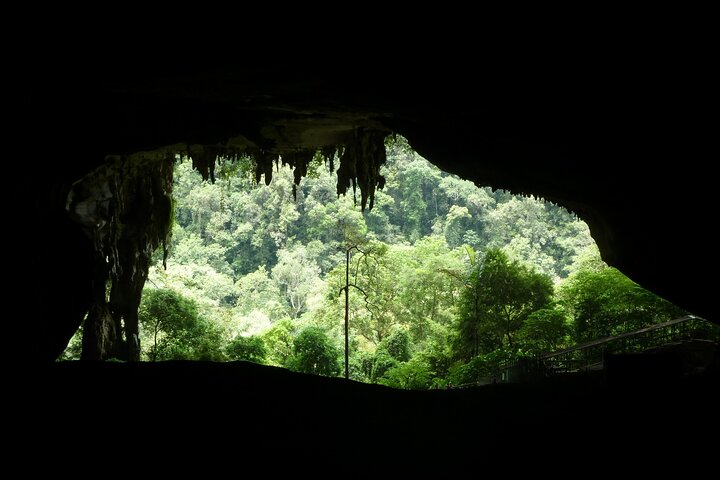 UNESCO Heritage Niah Caving and Iban Longhouse Exploration