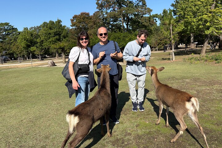 Nara Private Tour: Flexible Pickup from Kyoto, Osaka, or Nara