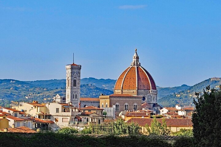 Pisa and Florence Private Day Tour from Livorno Port