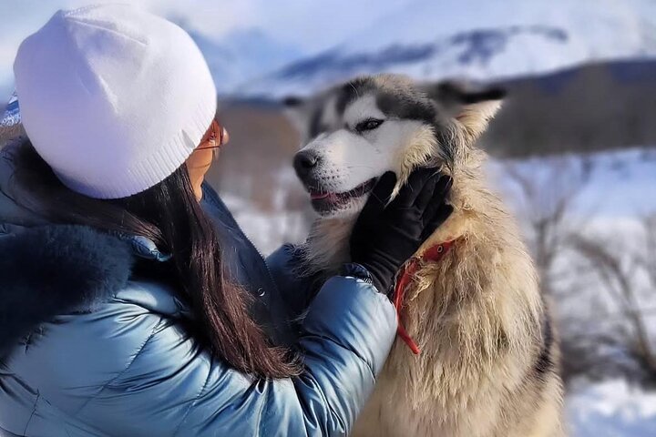 White Adventure with Sledge Ride and Snowmobile