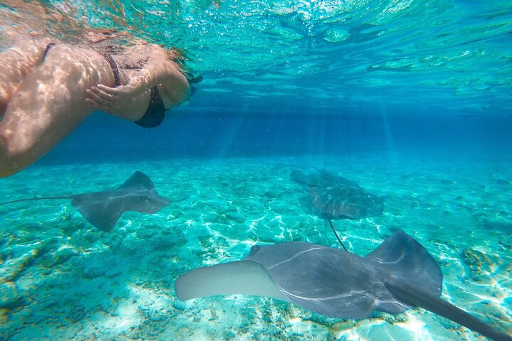 Private Early Bird Komodo Tour by Speedboat – Beat the Crowds