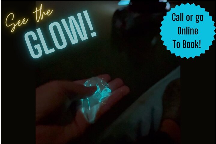 Clear Kayak Bioluminescence Tour - Cocoa Beach