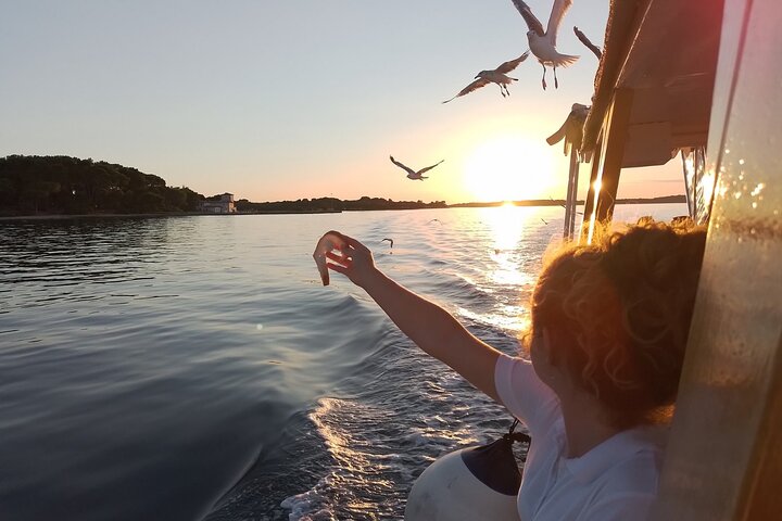 Fantastic DOLPHIN & SUNSET TOUR with dinner ( Pula-NP BRIJUNI )